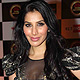 Sophie Choudhary at Big Star IMA Awards-2011