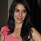 Sophie Choudhary at Bollywood Jollygood Launch