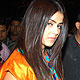 Genelia D'Souza and Ritesh Deshmukh