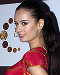 Evelyn Sharma at Cappuccino Jewellery Launch