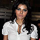 Sherlyn Chopra at IPL 2010 Promotion