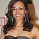 Dipannita Sharma at Colors Screen Awards