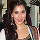 Sophie Choudhary at Deepshikha-Dheeraj Wedding