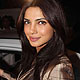 Priyanka Chopra at Don 2 Special Screening