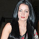 Celina Jaitley at Egyptian Diplomat Exhibition