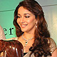 Madhuri Dixit at the launch Emeralds for Elephants