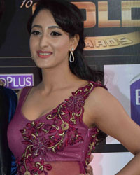 Gold Awards 2017 Gold Awards 2017