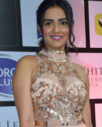 Gold Awards 2017 Gold Awards 2017