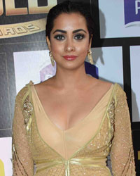 Gold Awards 2017 Gold Awards 2017