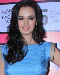 Evelyn Sharma at Guests at LFW 2015