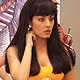 Celina Jaitley at Hello Darling Shoot