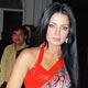 Celina Jaitley at IFFA 2011 Canada Announcement