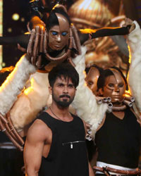 Shahid Kapoor at IIFA 2015