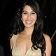 Sophie Choudhary at IIFA Awards 2010