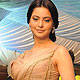 Aamna Sharif at IIFA Awards 2010