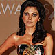 Sherlyn Chopra at IPL Awards 2010 Red Carpet