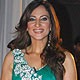 Rakshanda Khan at IPL Awards 2010 Red Carpet