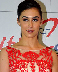 Lauren Gottlieb at Inauguration of New Branch of Criticare Hospital