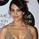 Bipasha Basu at LFW Summer-Resort-2012 Guests