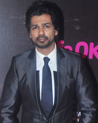 Nikhil Dwivedi at Life OK Screen Awards 2015