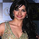 Prachi Desai at Lions Gold Awards-2011