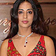 Mahi Gill at Mahi at Gitanjali Giantti