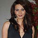 Diana Hayden at PETA Awards