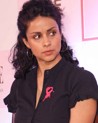 Gul Panag at Pinkathon 2014 Press Meet