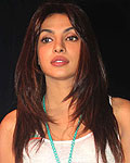 Priyanka Chopra at Priyanka-Shahid Promote TMK