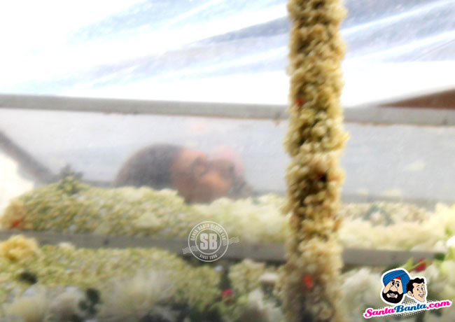 Rajesh Khanna's Final Journey