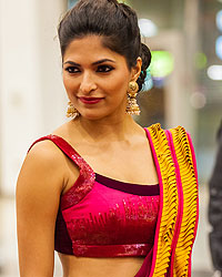 Parvathy Omanakuttan at SIIMA 2013