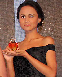 SKINN Perfume Collection Launch