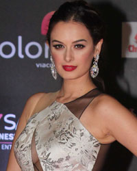 Evelyn Sharma at Sansui Stardust Awards 2016