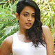 Sarah Jane Dias at Sarah Jane Photo Shoot