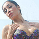 Sofia Hayat at Sofia Hayat Photo Shoot