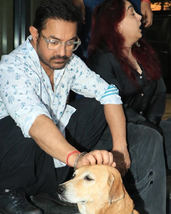 Aamir Khan at Special Screening of Loveyapa