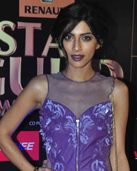 Sapna Pabbi at Star Guild Awards 2015