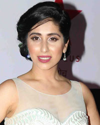 Star Screen Awards 2016 Star Screen Awards 2016