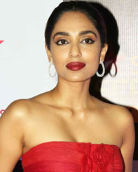 Star Screen Awards 2016 Star Screen Awards 2016