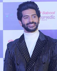 Star Screen Awards 2019 Star Screen Awards 2019