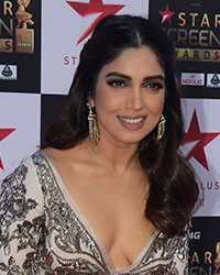 Bhumi Pednekar at Star Screen Awards Red Carpet 2017