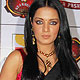 Celina Jaitley at Stardust Awards 2010