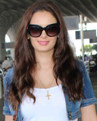 Evelyn Sharma at Stars Spotted 2016