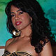 Sameera Reddy at Stars Spotted