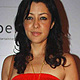 Aditi Govitrikar at Sunburn Goa-2010 Press Meet