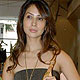 Kim Sharma at IPL Collection Launch