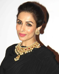 Malaika Arora at The Artisan Jewelry Design Awards 2014