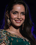 Shazahn Padamsee at The Great Indian Wedding Carnival