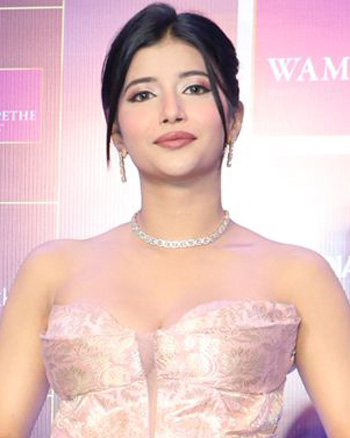 The Indian Telly Awards 2025