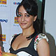 Raima Sen Launches DVD of The Japanese Wife Raima Sen Launches DVD of The Japanese Wife